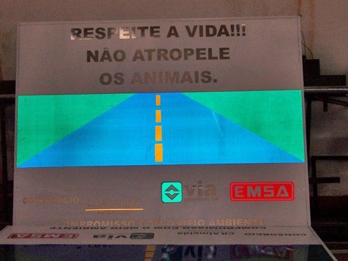 e6a34e8ce595d9b9